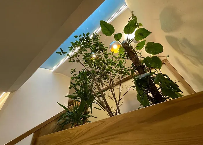 Aigle קורמאיור